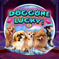 Doggone LuckyCQ9 game cover
